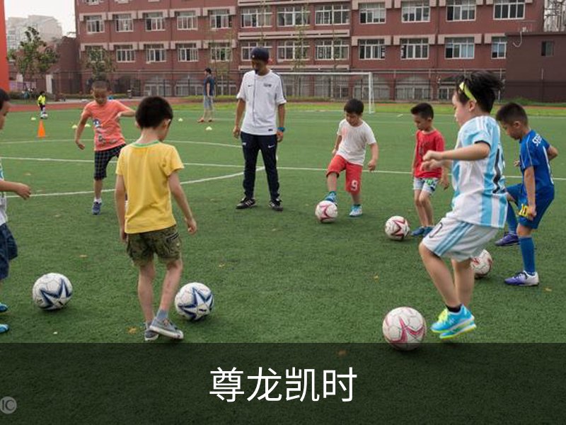 关于尊龙凯时